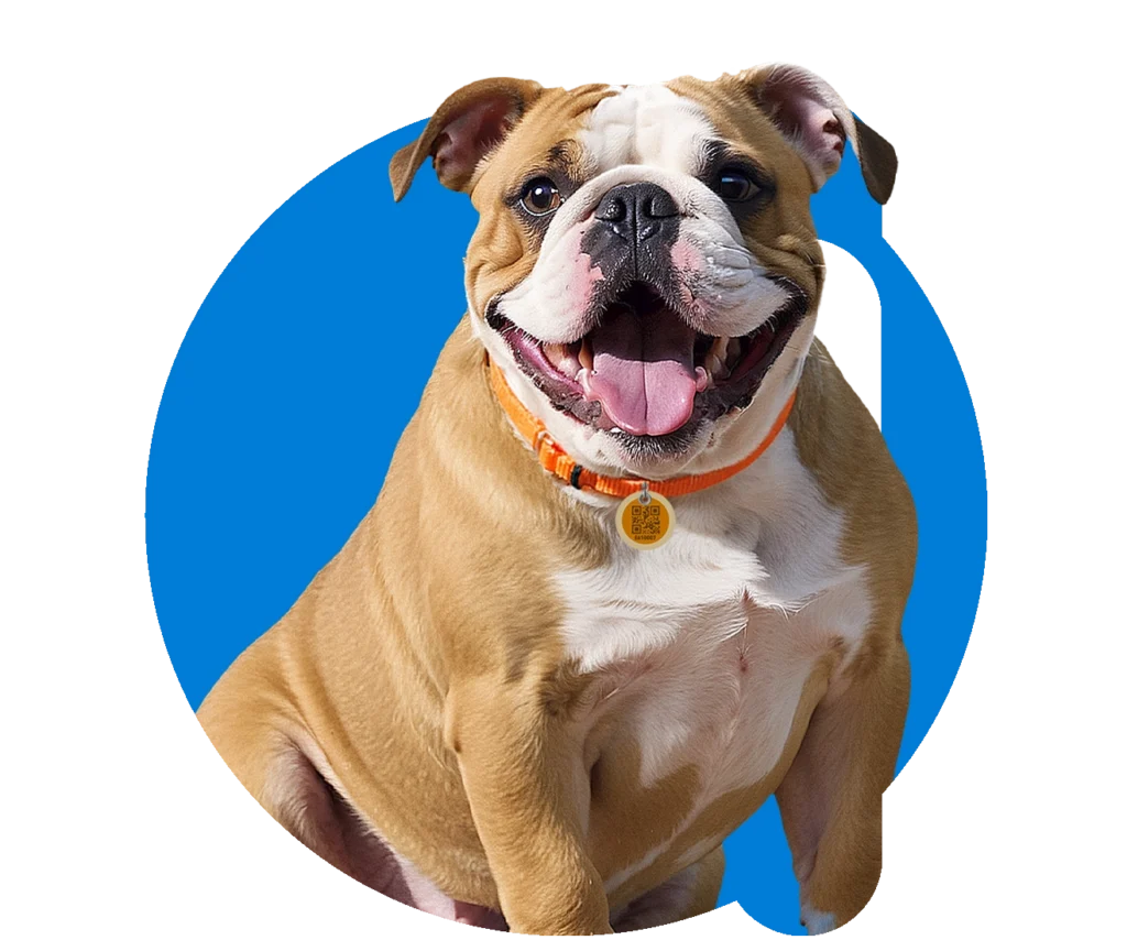 microchip para cachorro animalltag